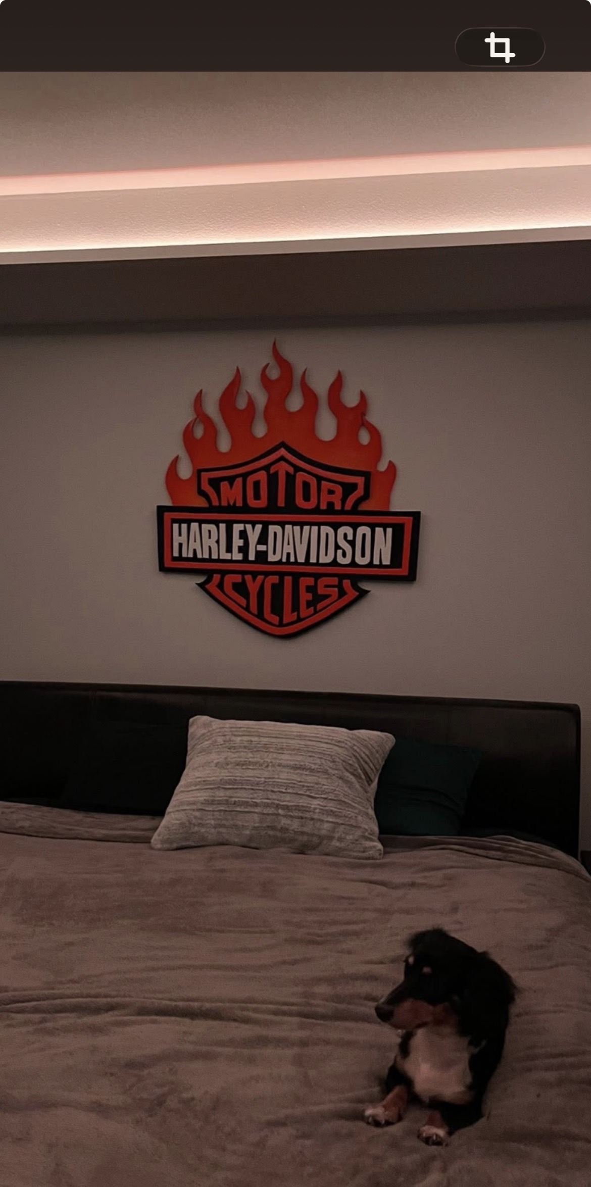 A flamed bar-and-shield hung over a customer's bed